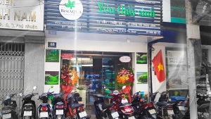 Giới thiệu